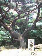 06062422.jpg