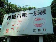 06062425.jpg